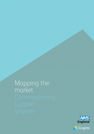 Mapping the Market: Commissioning Support Services