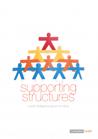 Supporting Structures: A Soft Intelligence Report on CSUs
