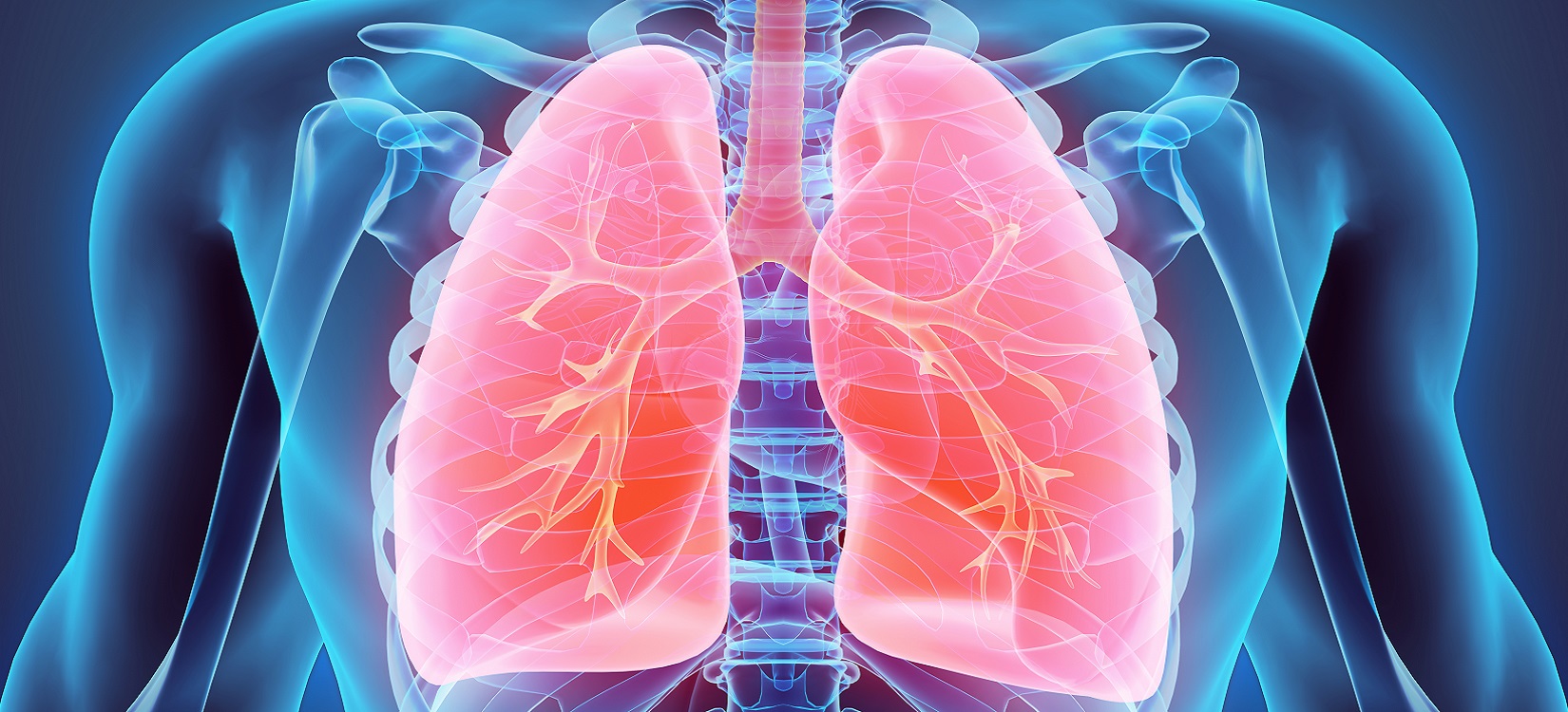 Digital Centre of Excellence on indwelling pleural catheters