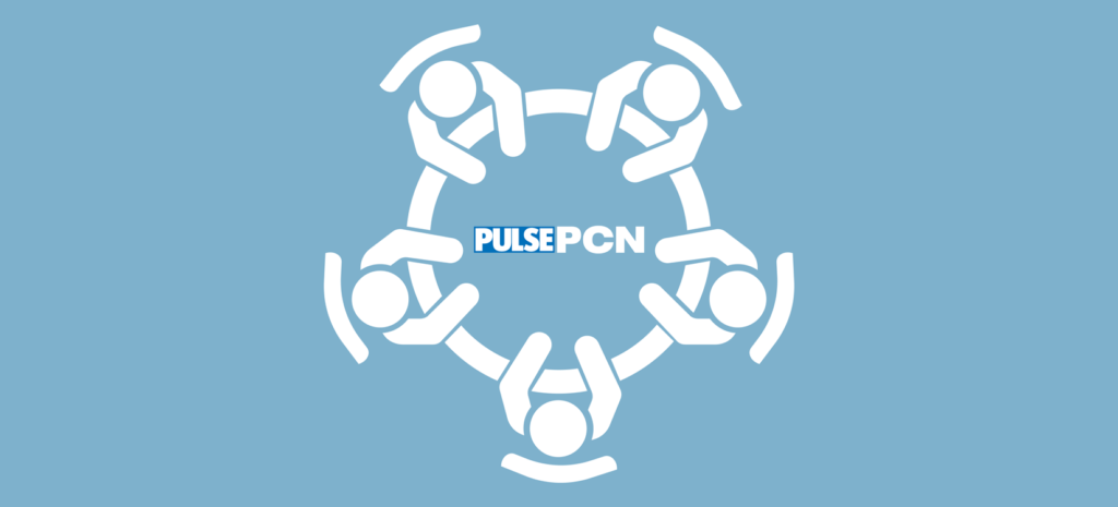 Pulse PCN’s roundtable